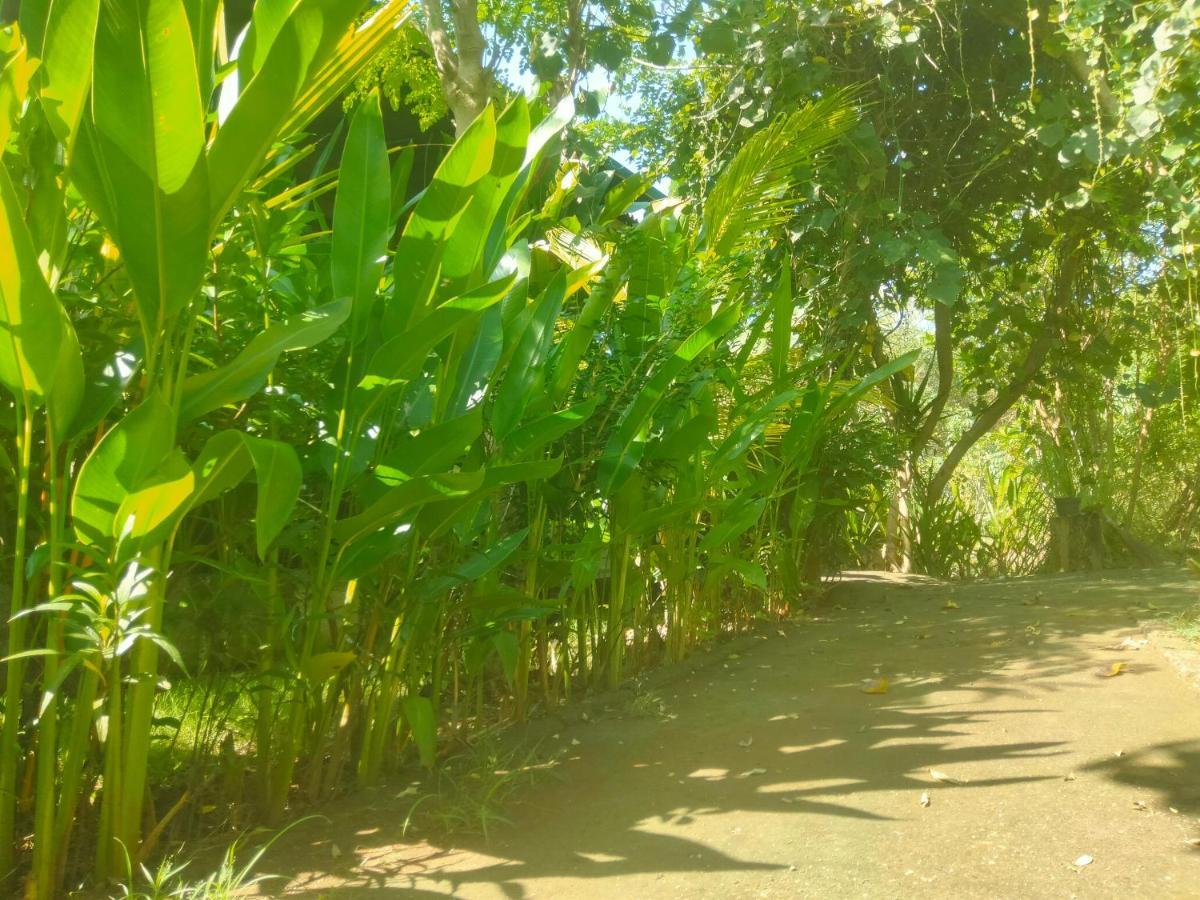 Pier26 Bali Homestay Nusa Dua  Ngoại thất bức ảnh